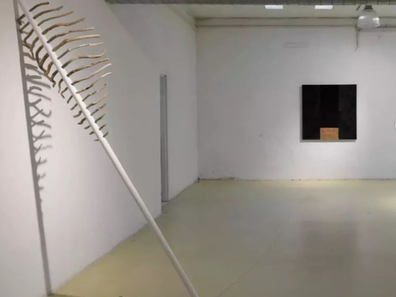 DIAGONALE SPAZIO: la mostra del Collettivo Basement che connette opere e luogo espositivo. Intervista al curatore Davide Silvioli