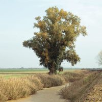 OLTRE/Dialogo tra fotografia, territorio, comunità | primo ciclo di talk per il progetto “Foto/Territorio”