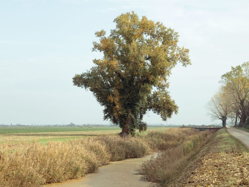 OLTRE/Dialogo tra fotografia, territorio, comunità | primo ciclo di talk per il progetto “Foto/Territorio”